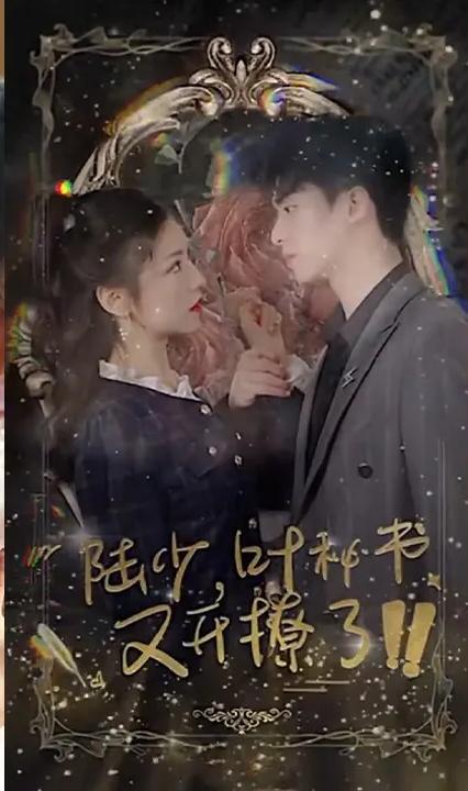 陸少，葉秘書又開撩了！(全集)